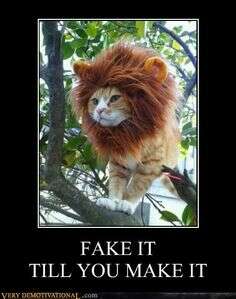 Cat in lion costume &lsquo;Fake it til you make it&rsquo; meme